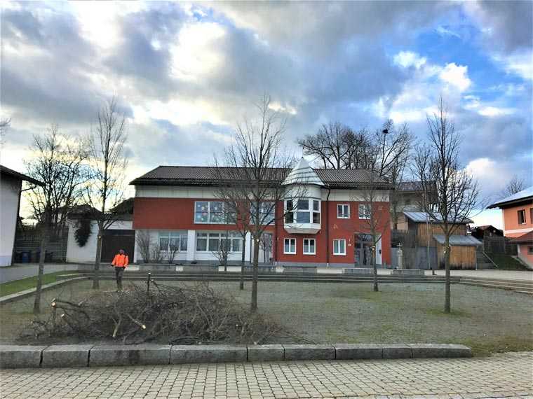 Jungbaumschnitt in Schönbrunn am Lusen